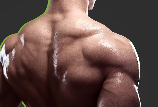 Acetyl l carnitine vs L carnitine bodybuilding.png